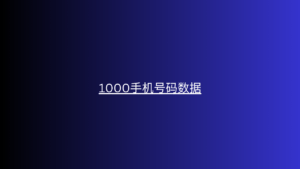 1000手机号码数据