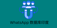 WhatsApp 数据库印度